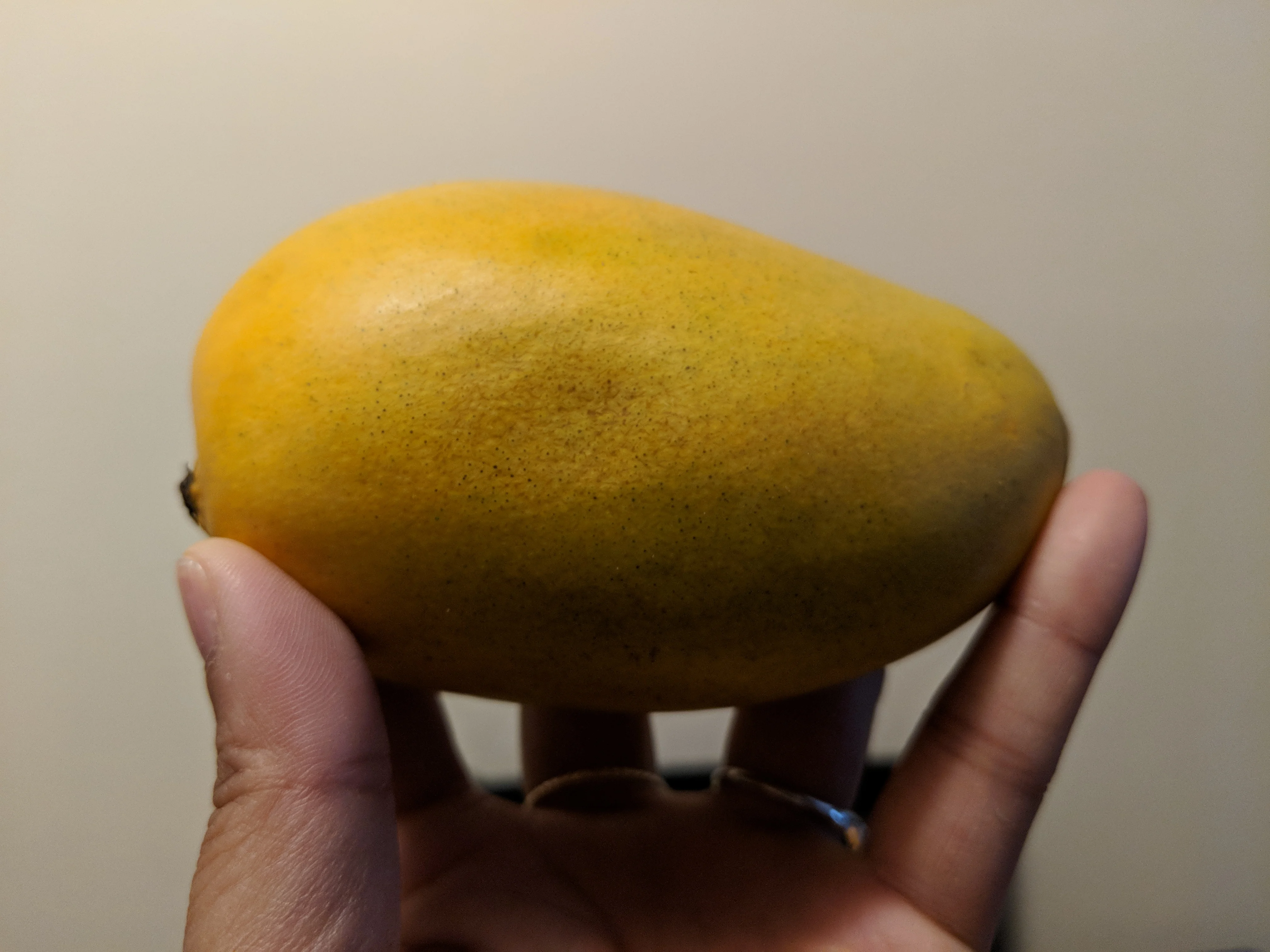 Imperfect Produce Box Review and Reveal - Mango