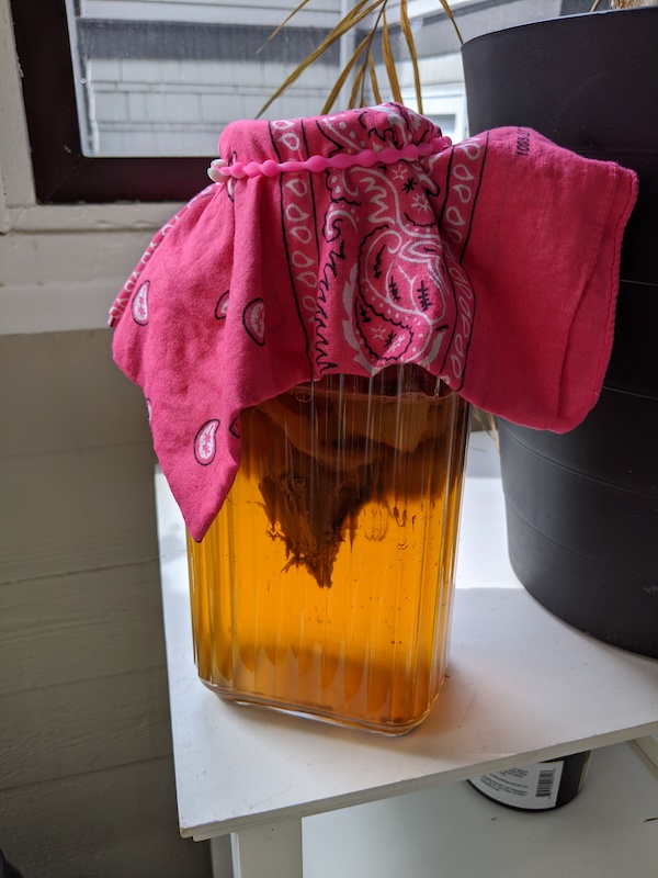 How to Make Your Own Homemade Kombucha Recipe