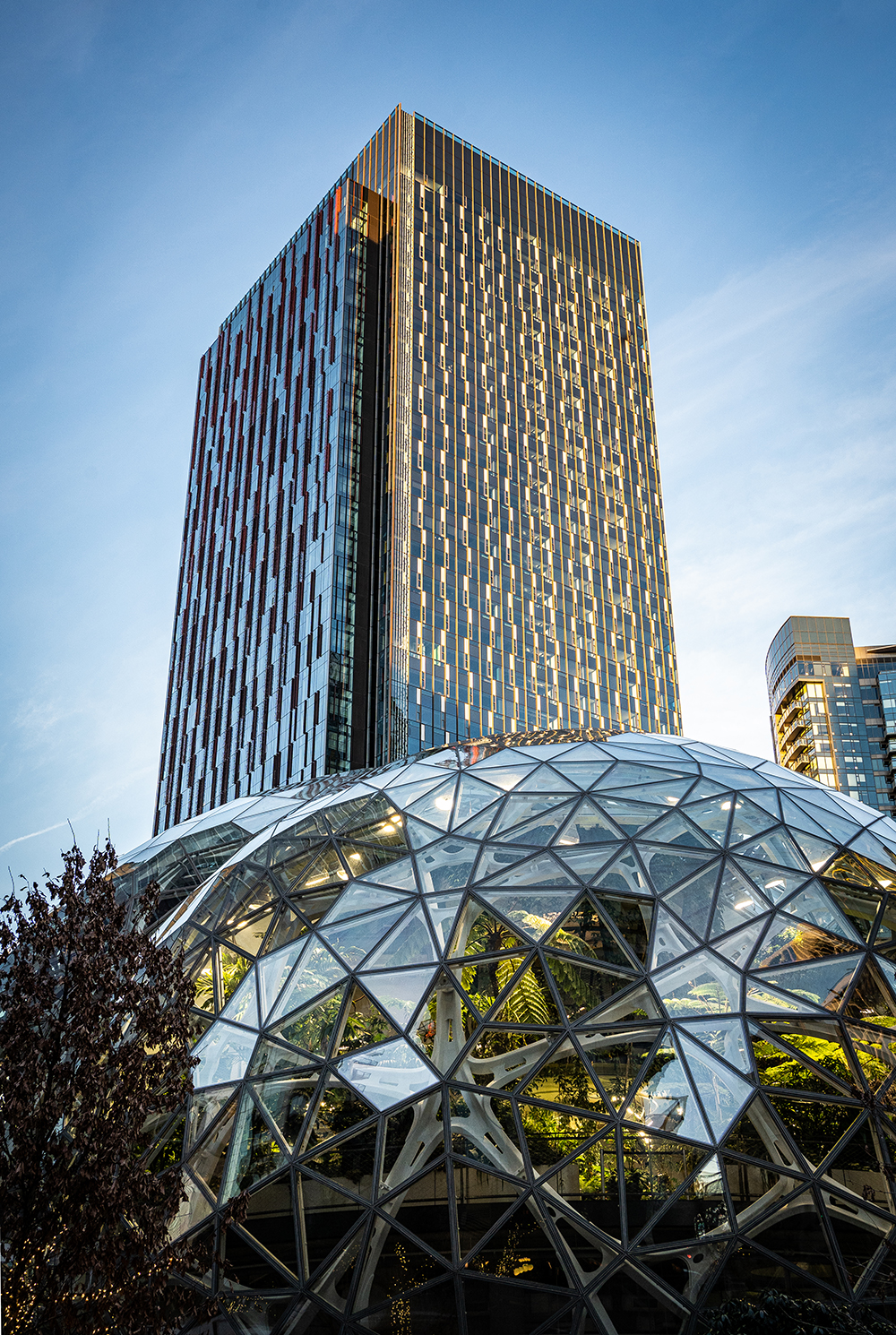 amazon spheres corporate office buliding 35mm sony alpha photography