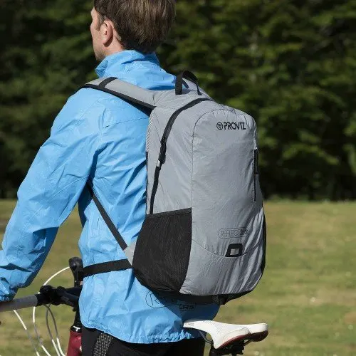 Proviz REFLECT360 Backpack