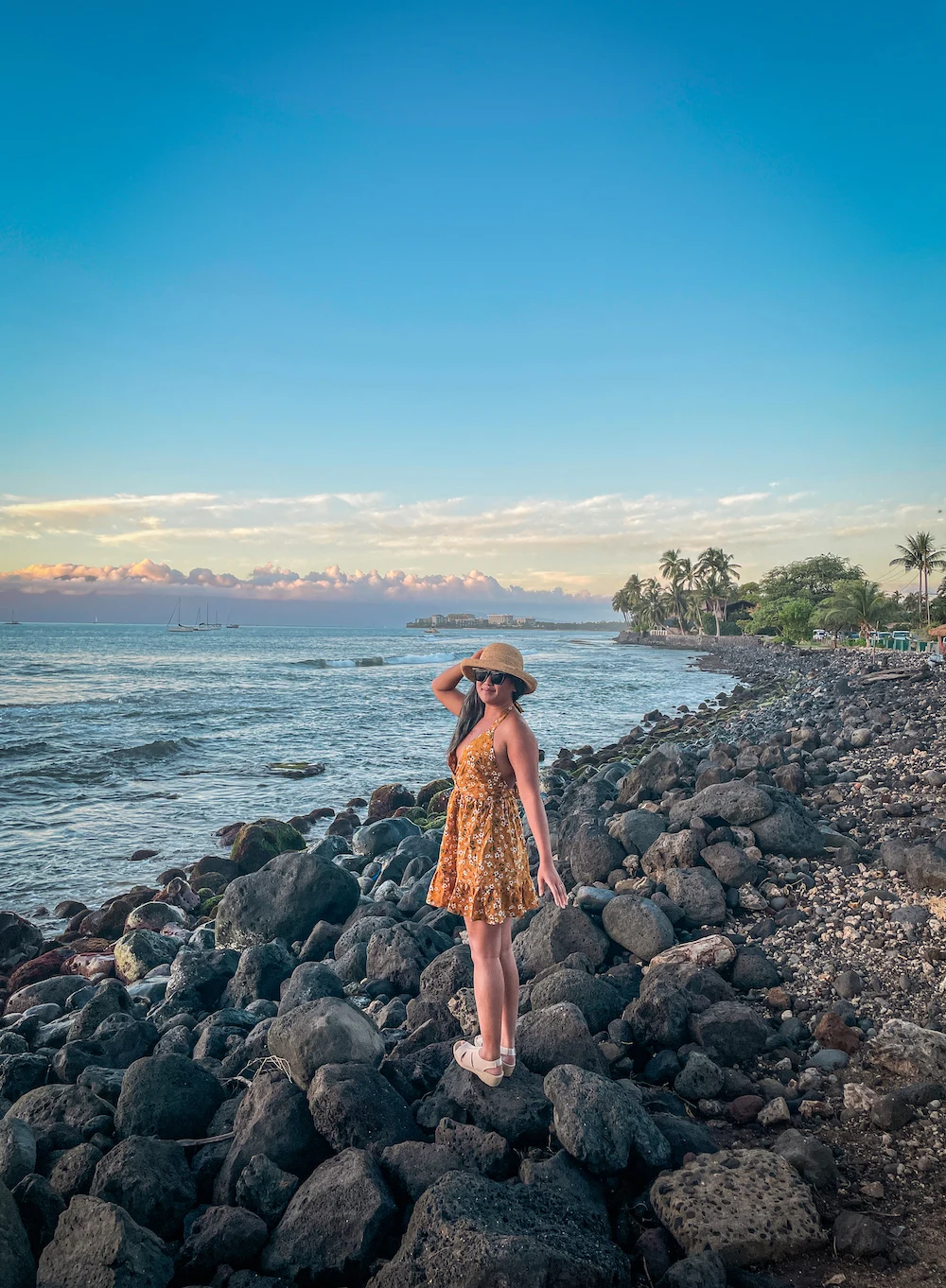 Lahaina Coastline