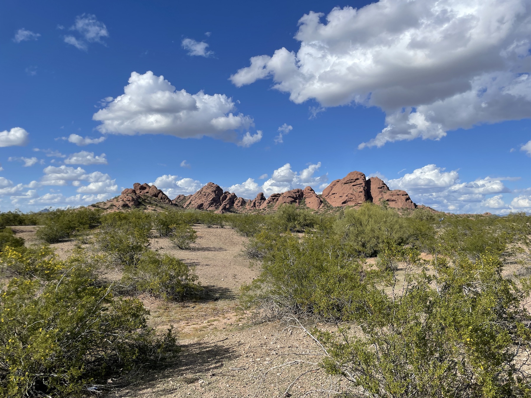 Papago Park Phoenix Arizona