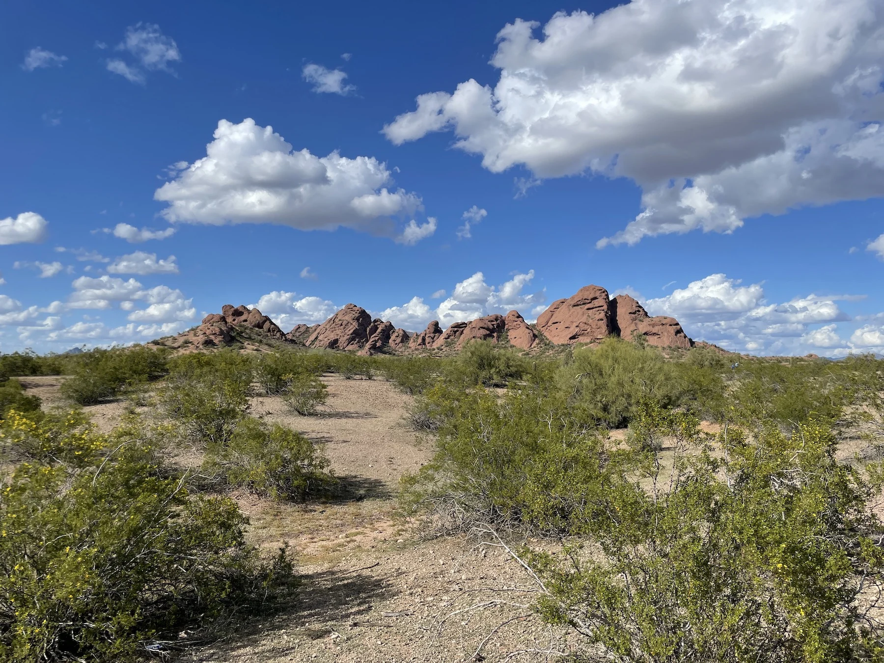 Papago Park Phoenix Arizona