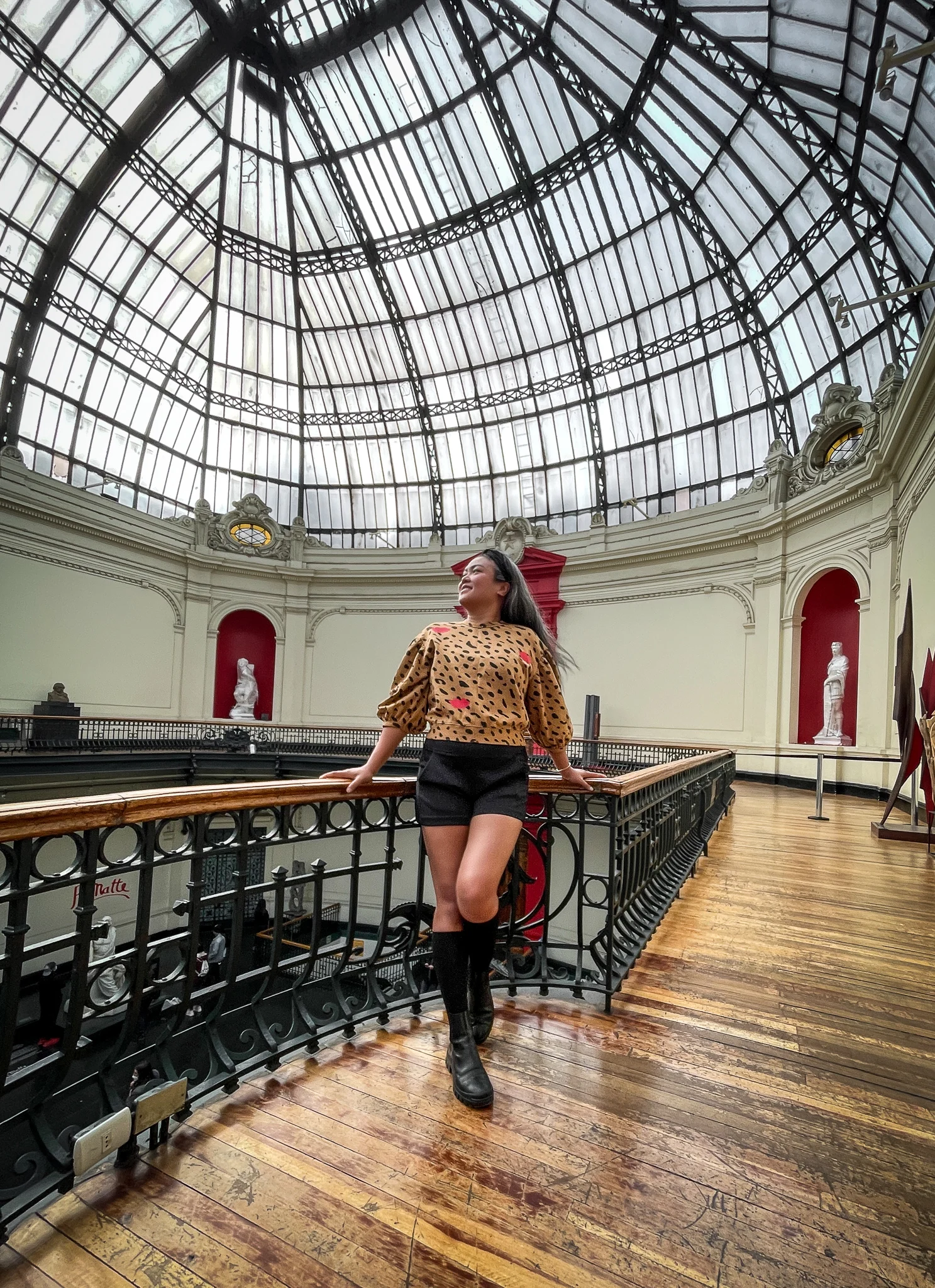 Museo de Bellas Artes Santiago Chile Ceiling