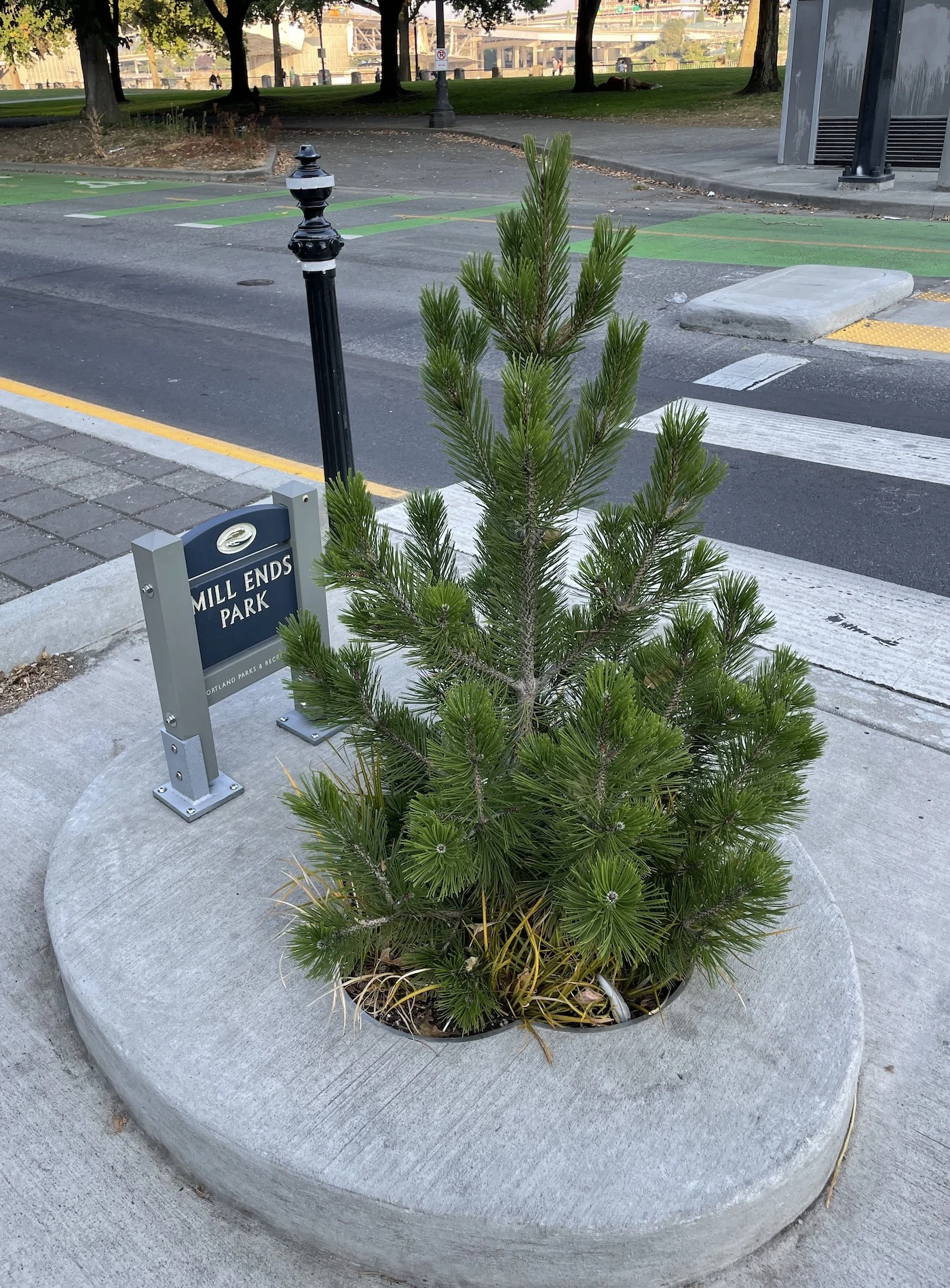 Worlds smallest park mill ends park portland oregon