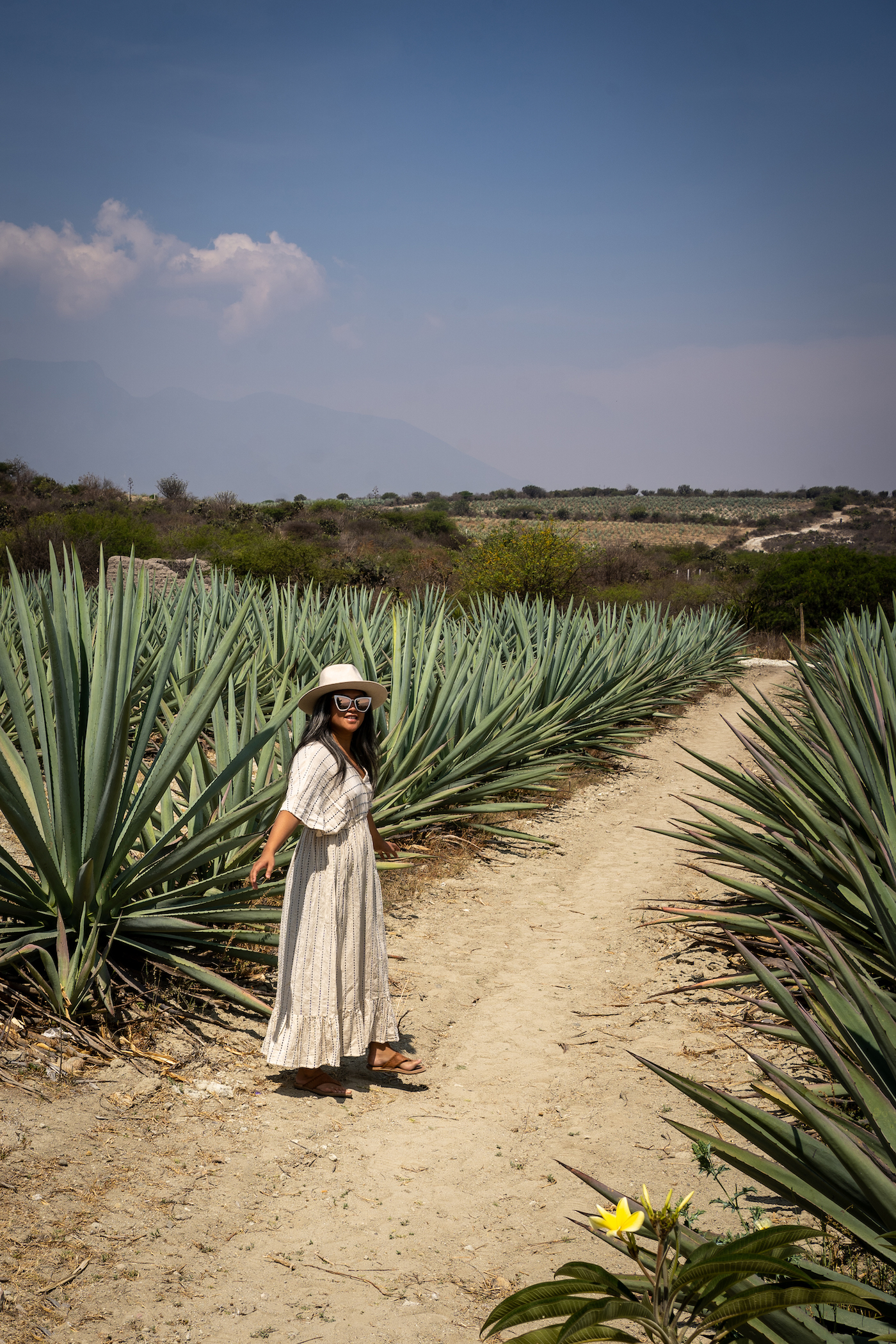 walking through Agave fields mezcal tour oaxaca mexico