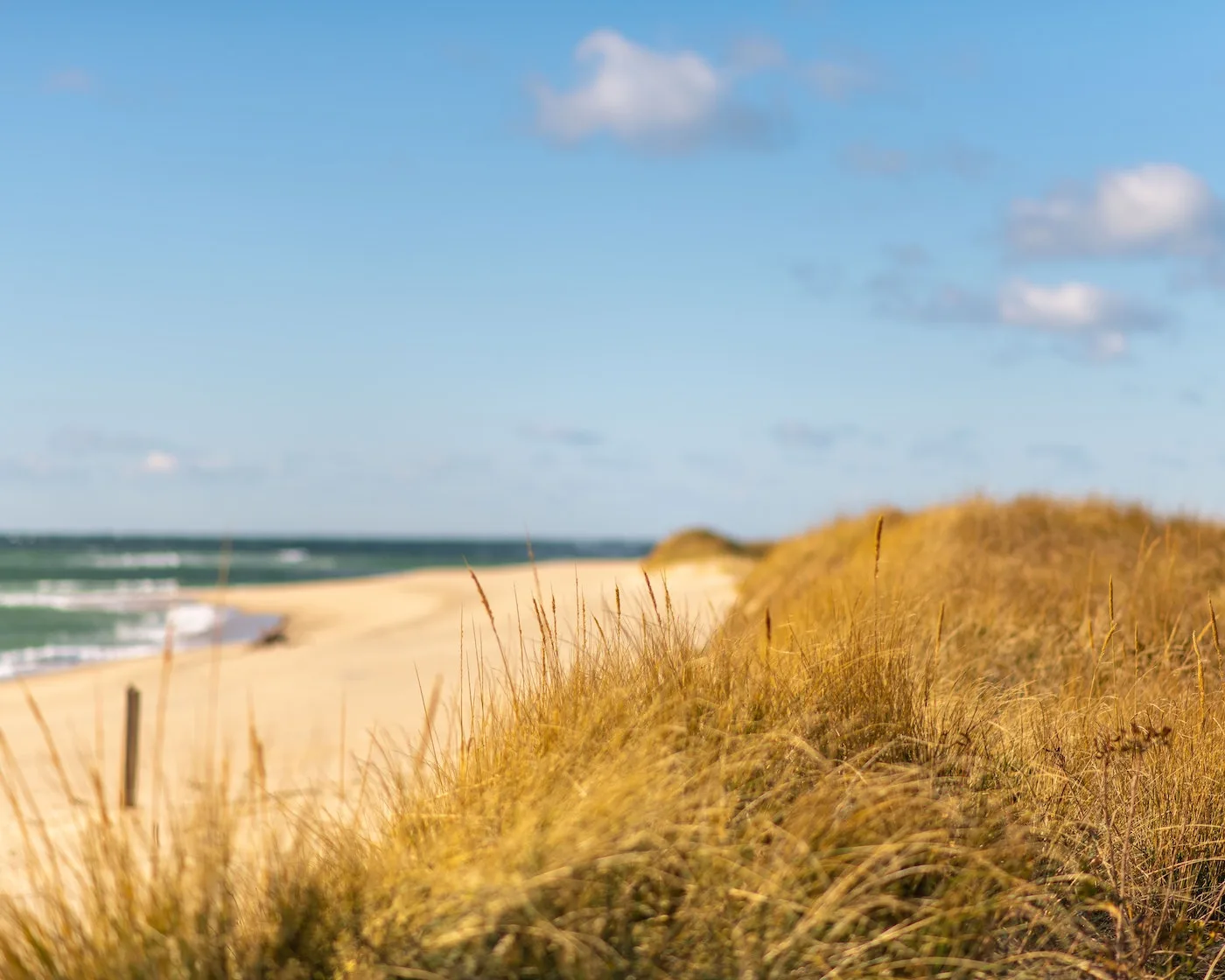 Nantucket Beach View