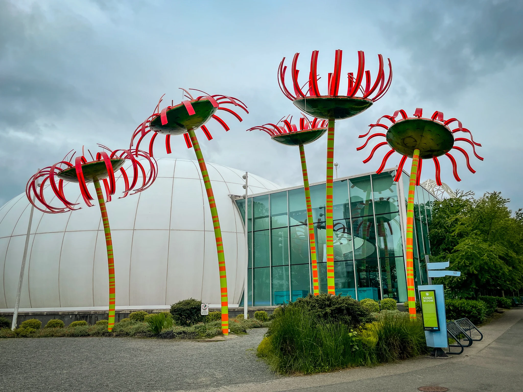 Seattle Center Sonic Bloom Flowers