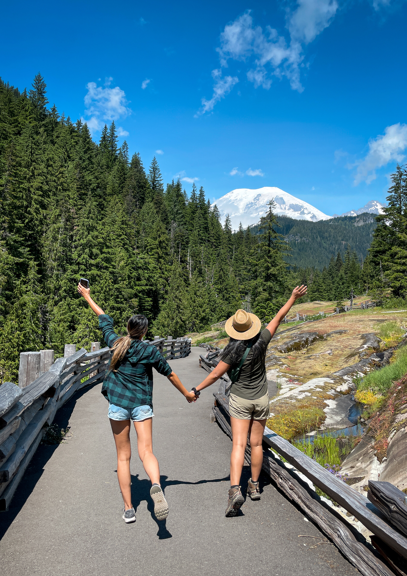 View of Mount Rainier in Paradise Schimiggy x Walin