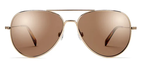 Warby Parker Raider Aviator Sunglasses Gold