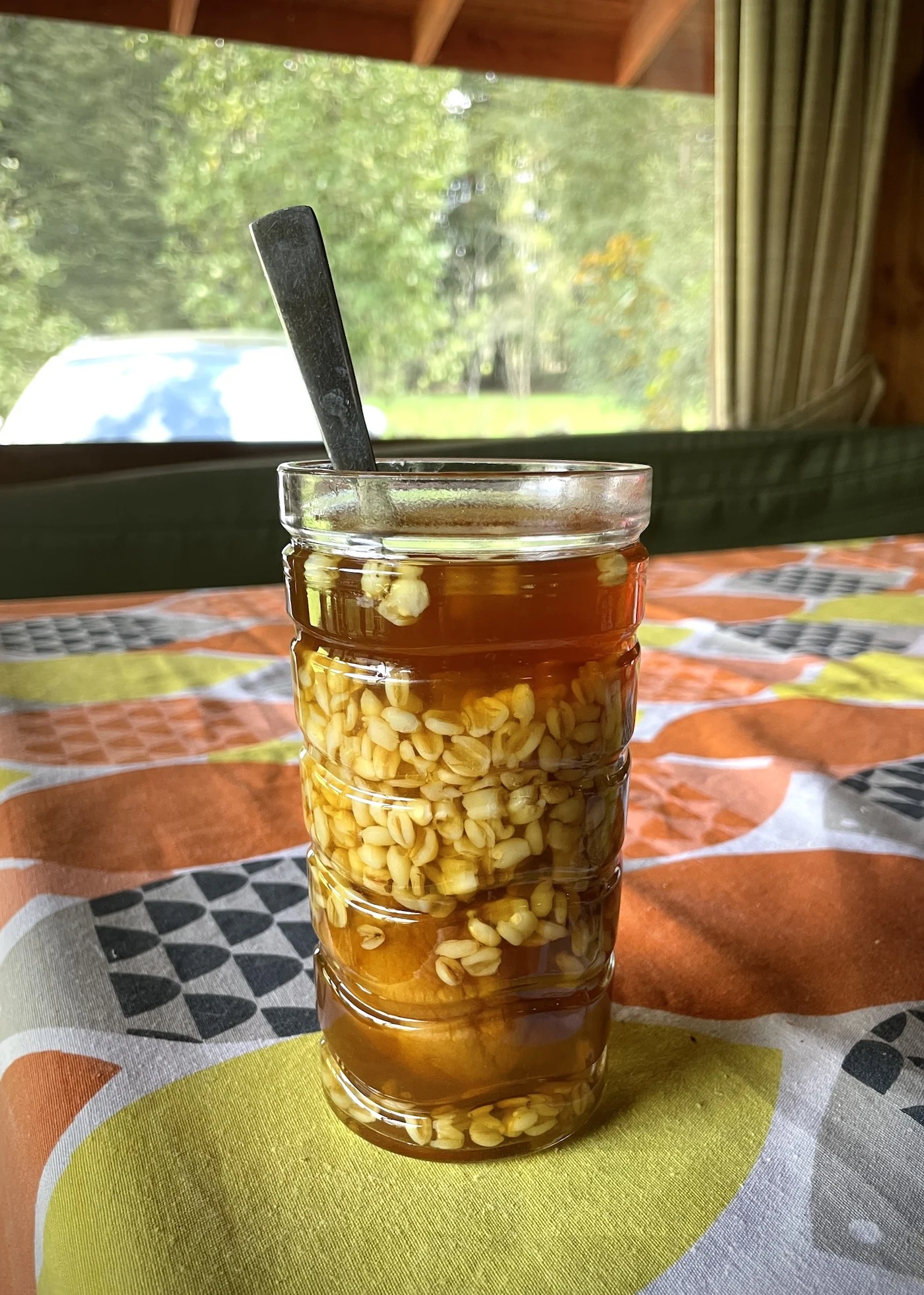 Mote Con Huesillo barley and peach dessert