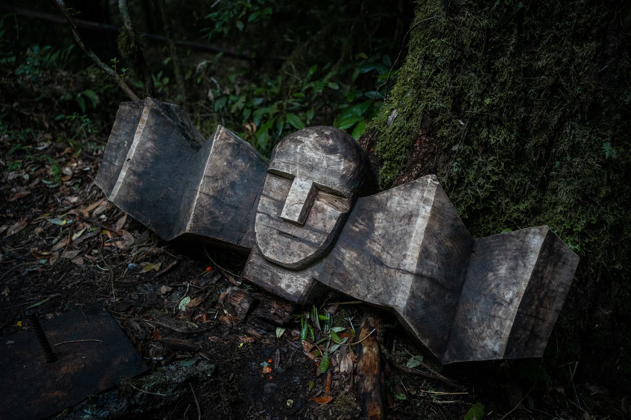 Wooden sculpture on the trail of the spirits sendero de los espiritus Huilo Huilo Reserva Biologica