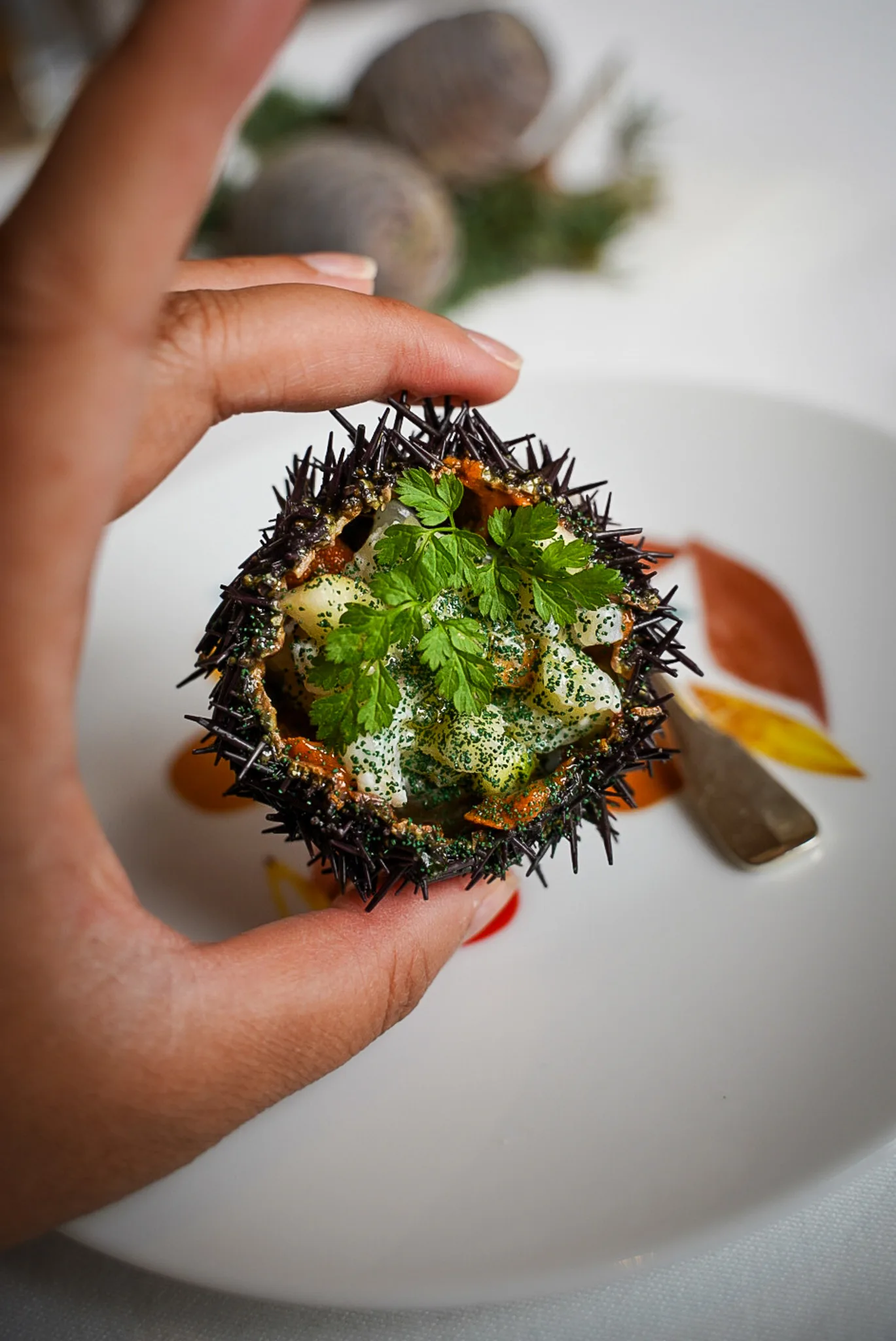 sea urchin and langostines Arpege review Paris France