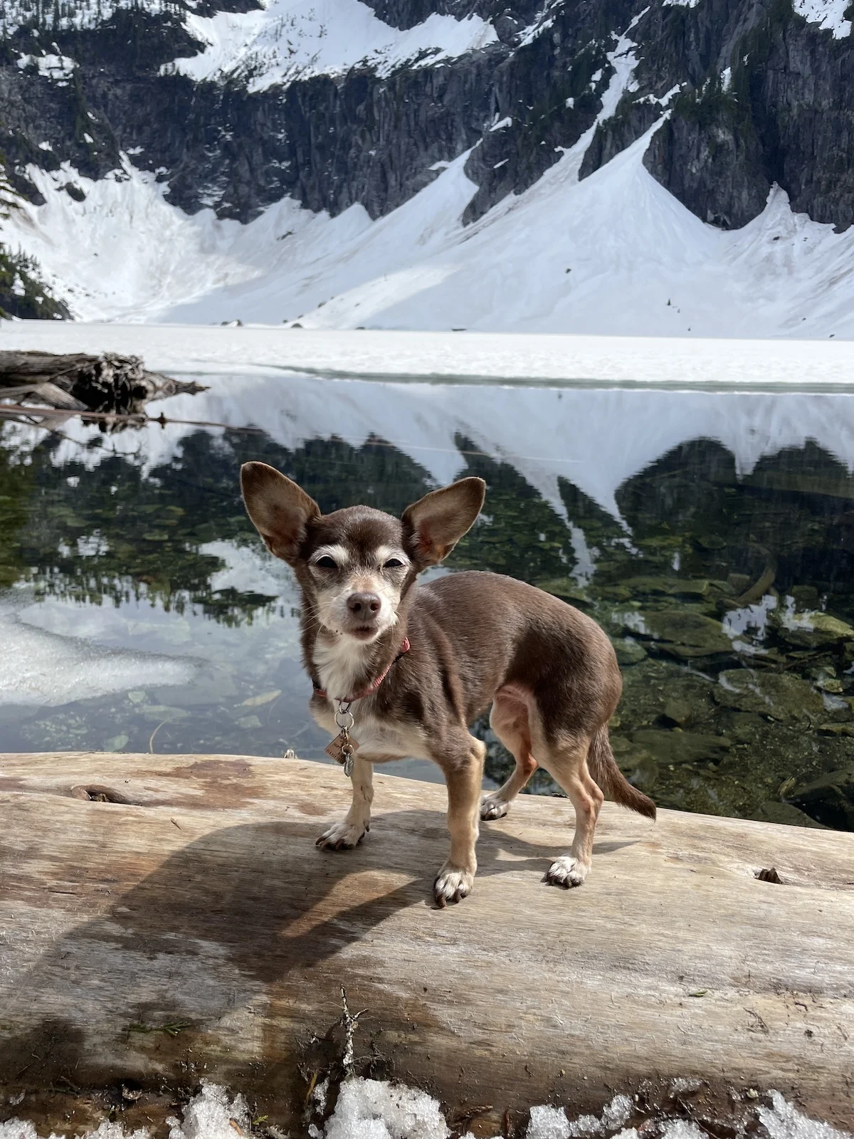 Bebot at Lake Serene in Washington state