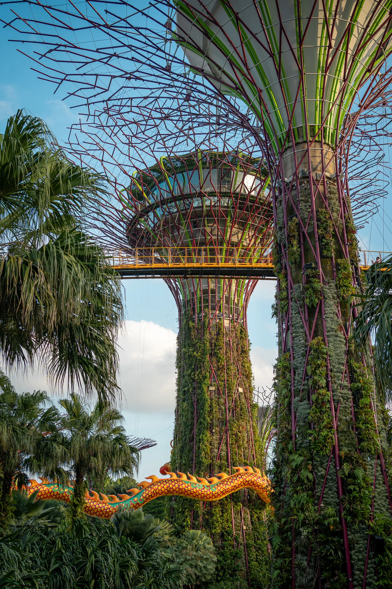 Supertree Grove Gardens by the Bay Singapore