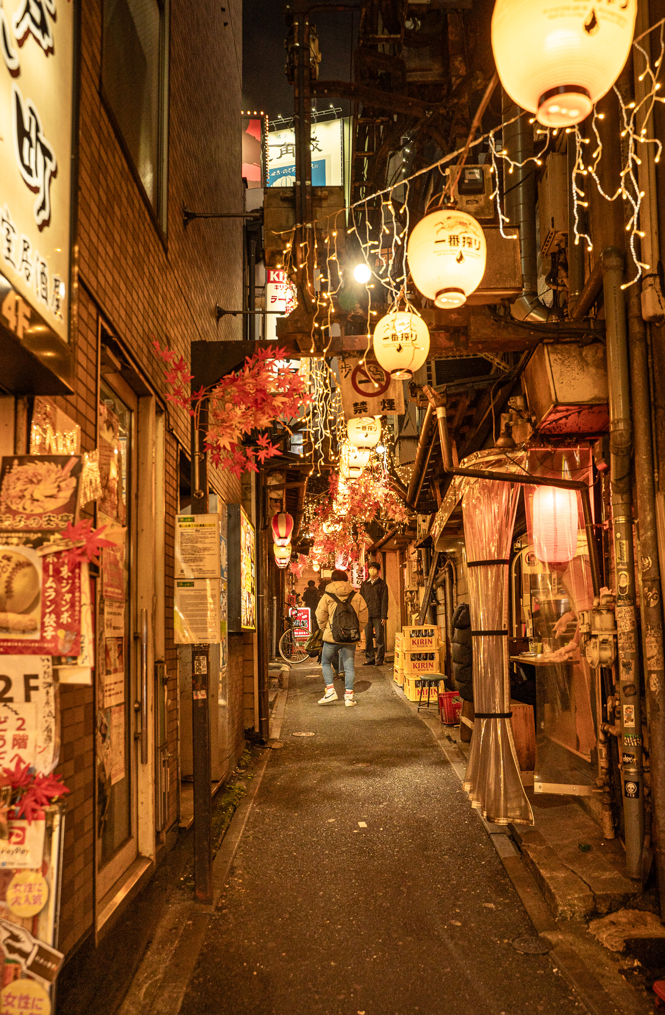 Omoide Yokocho izakaya street Tokyo Japan