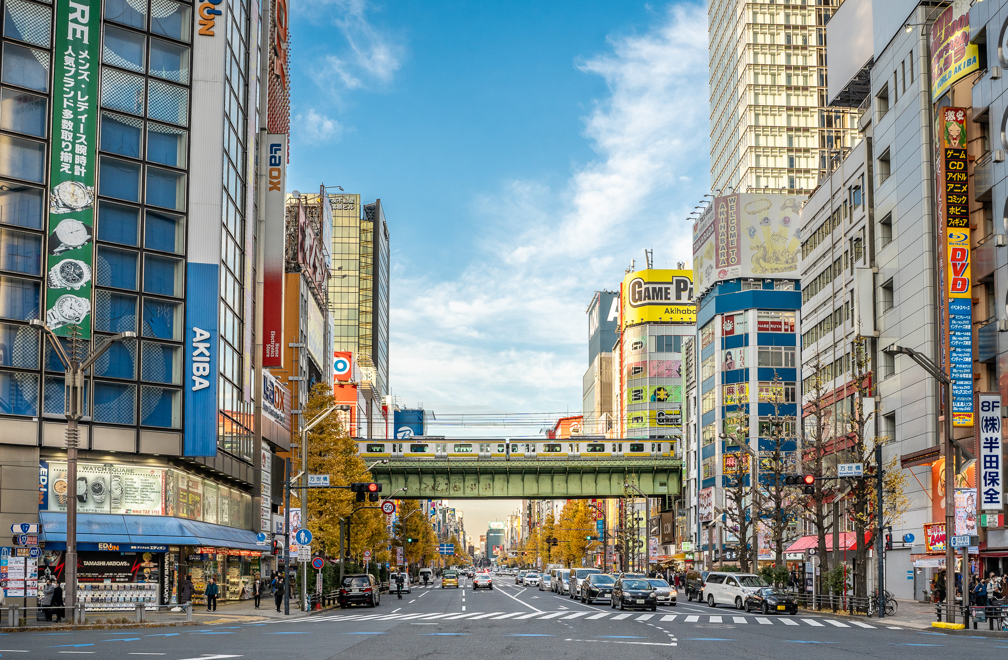 Tokyo Akihabara Electric Town Neighborhood train passing