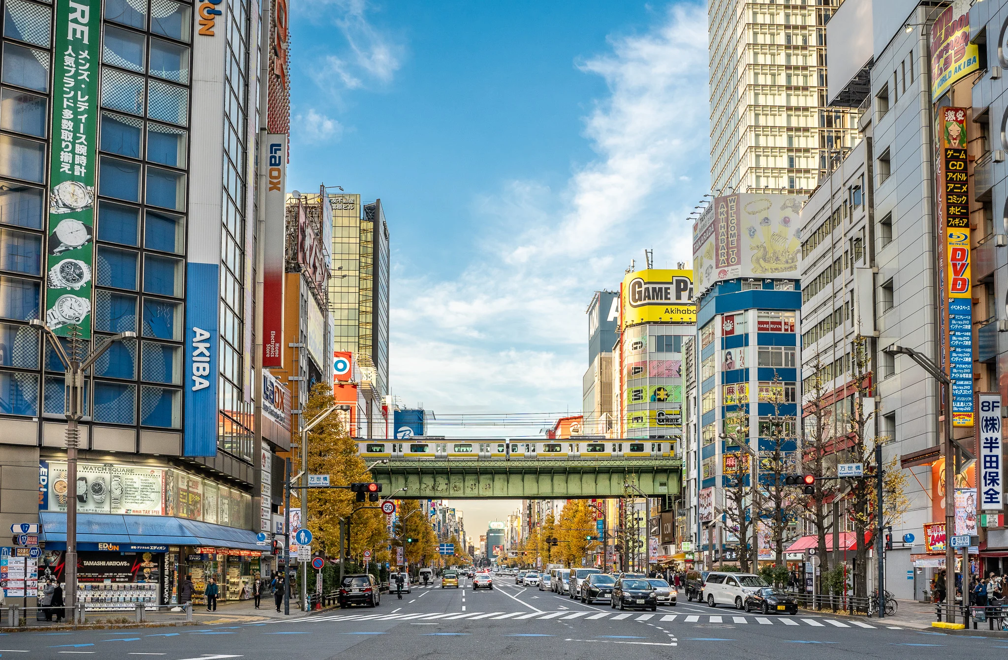 Tokyo Akihabara Electric Town Neighborhood train passing