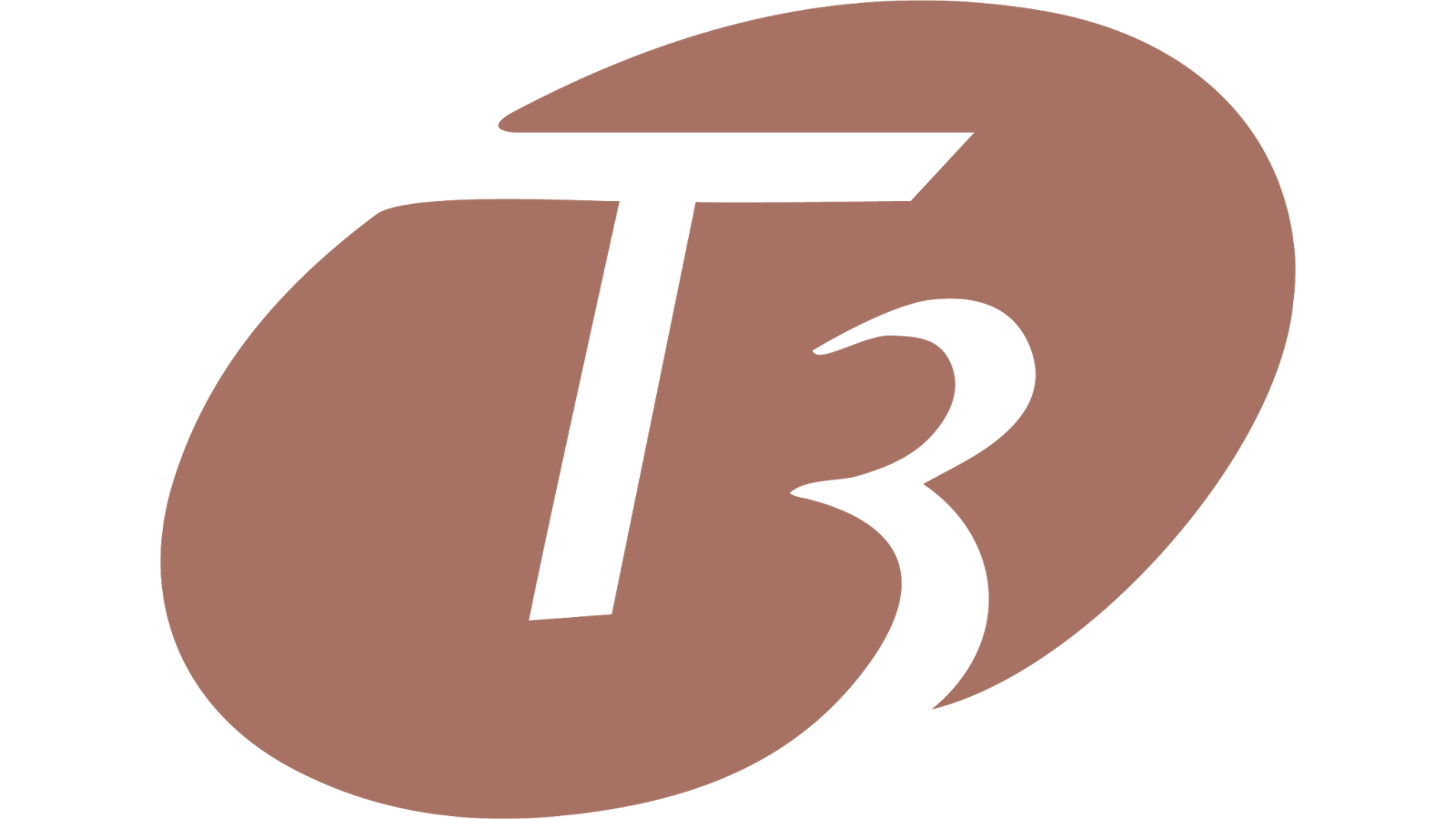 t3 logo