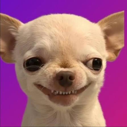 evildogi mischievous dog meme