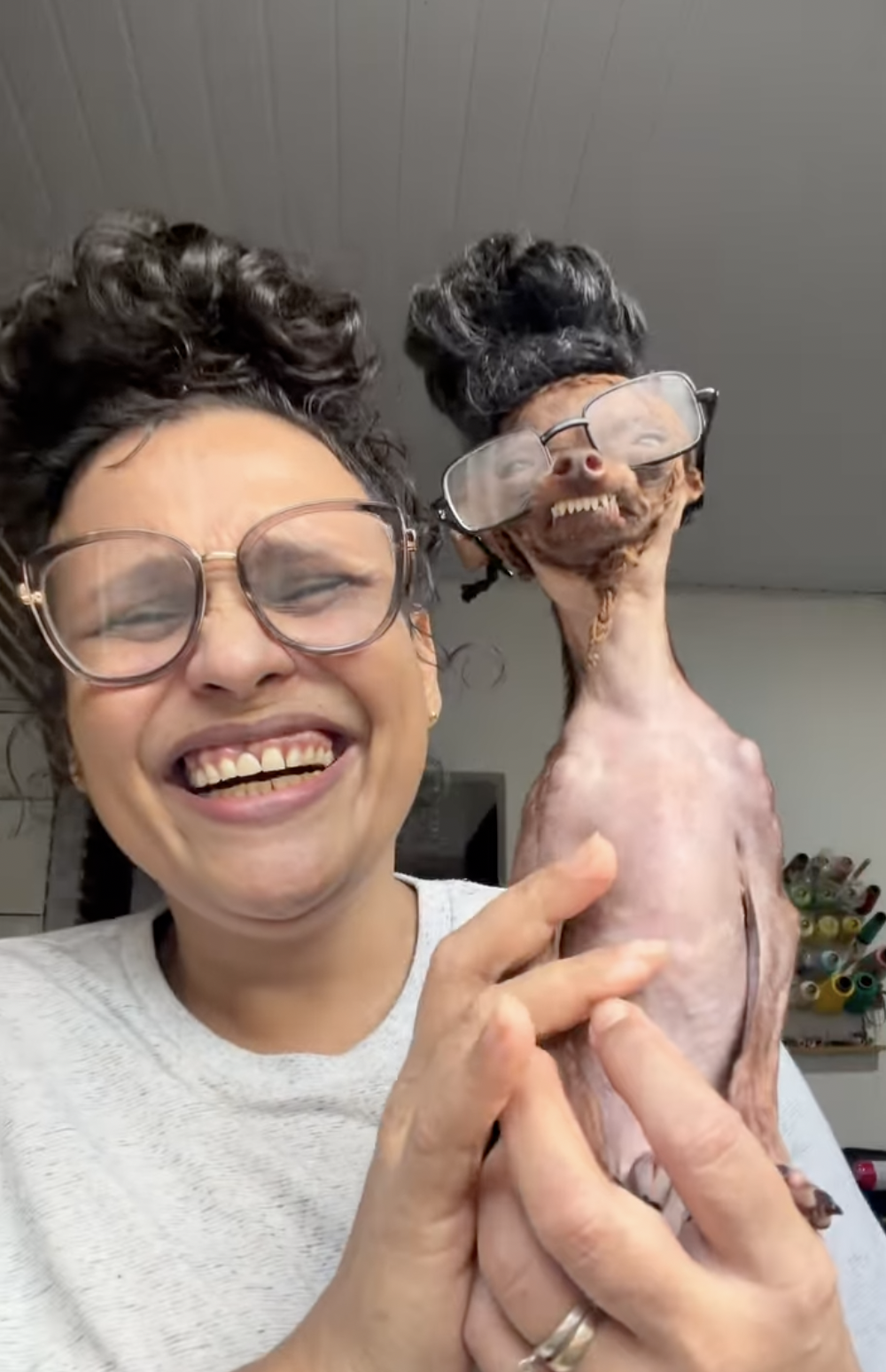 rozi pinscher lady who looks like her dog
