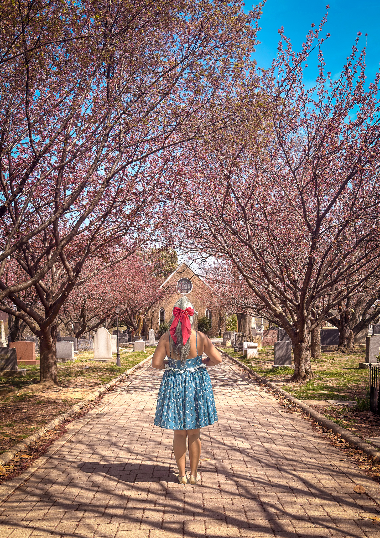 Congressional Cemetery Okame Cherry Blossoms Photo Spot Selkie Rosebud Dress