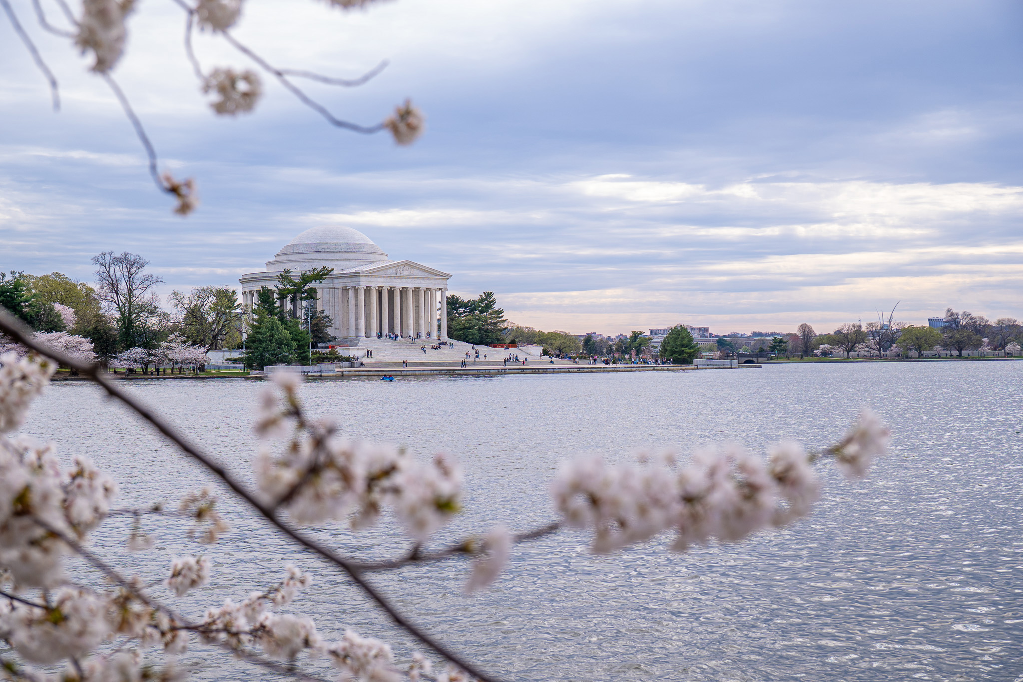 Thomas Jefferson Memorial Cherry Blossoms