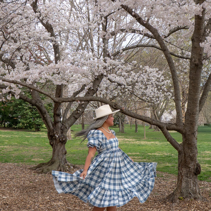 What to wear to see cherry blossoms washington DC Selkie Tea Towel French Puff Dress