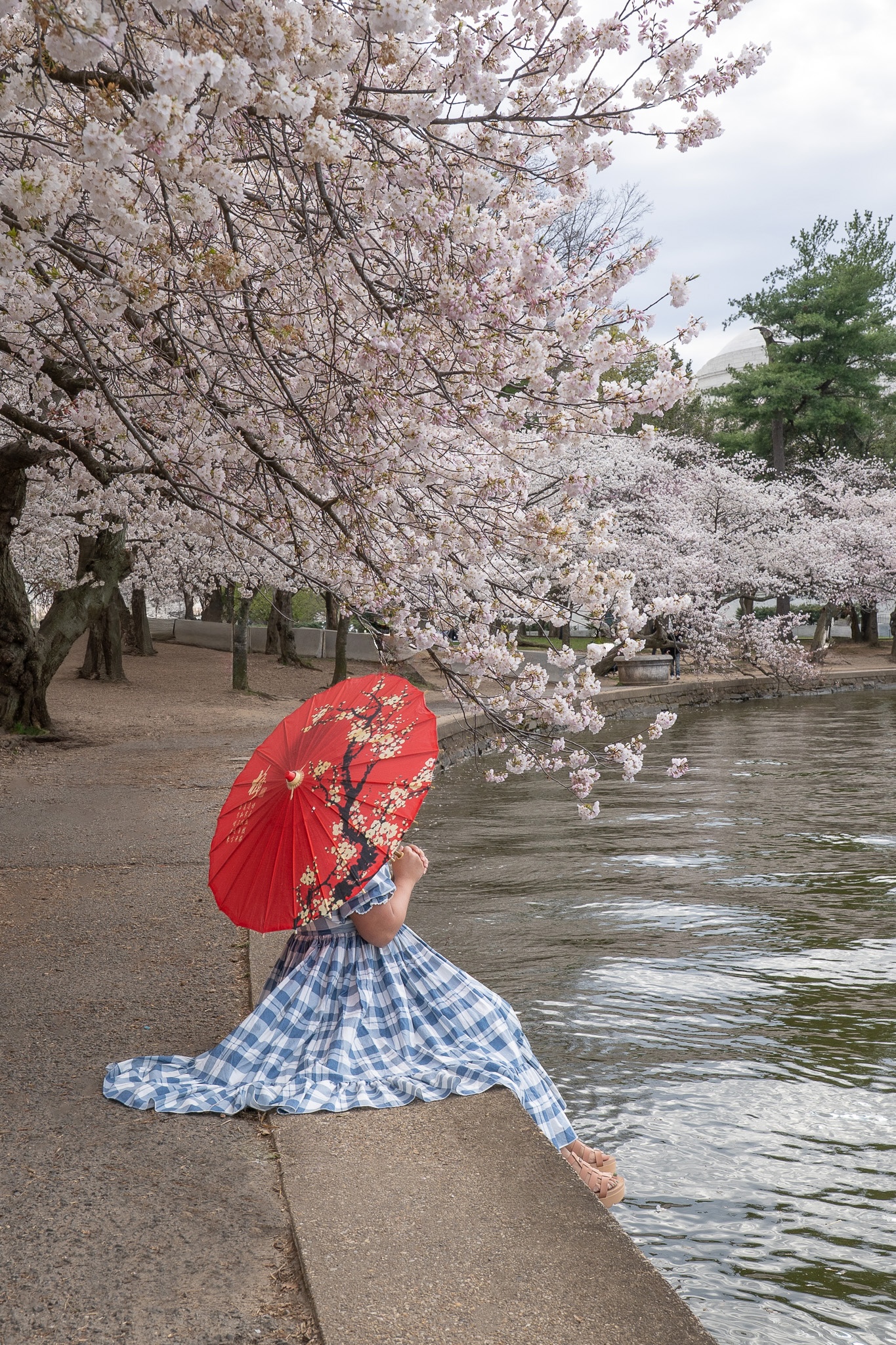 cherry blossom outfit selkie tea towel french puff dress tidal basin washington dc